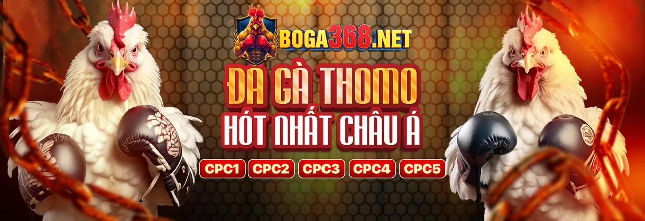Đá gà trực tuyến HO88